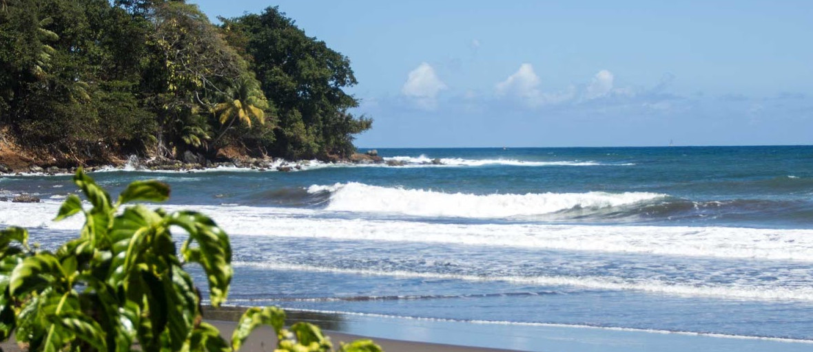 Plage martinique