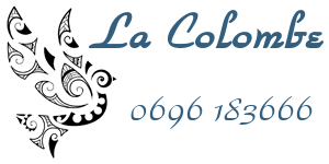 logo colombe bateau martinique